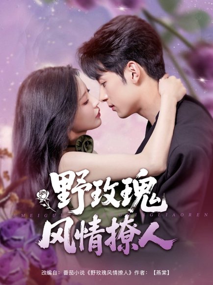 野玫瑰风情撩人（85集）张屹杨&陈思澈 高清完整版