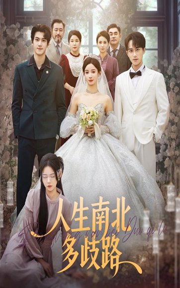 人生南北多歧路（45集）谭心＆辛灏云 高清完整版