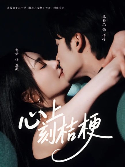 心上刻桔梗（90集）王英杰&郭佑 高清完整版
