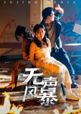 无声风暴（33集）鄢子纶 高清完整版