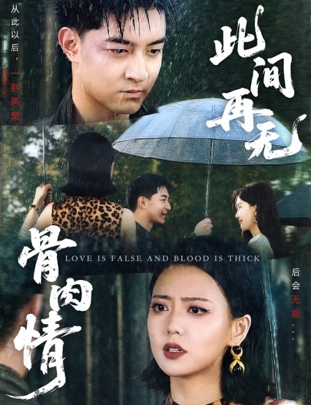 此间再无骨肉情（60集）贺龙天&高岫楠 高清完整版